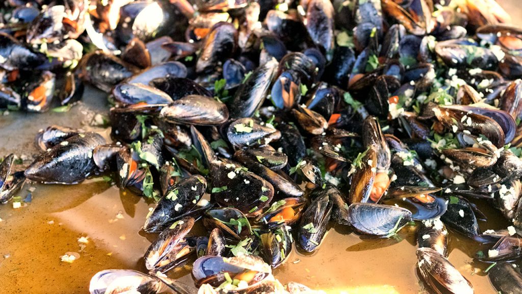Mussels - Mirepoix Market, France