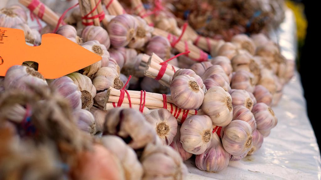 Pink Garlic - Mirepoix Market, France