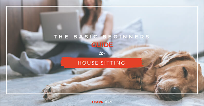 The Basic Guide To House Sitting